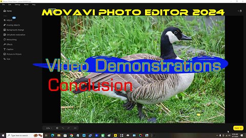 Movavi Photo Editor 2024 Video Demonstrations Conclusion