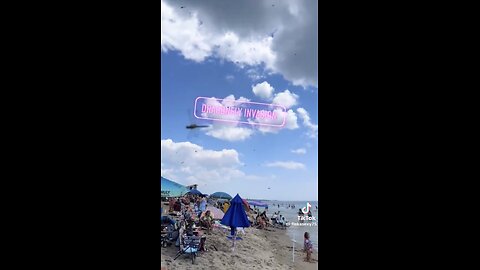 DRAGONFLIES INVADES🦋⛱️🏝️🏊‍♂️POPULAR BEACH IN RHODE ISLAND🏖️🦋🤽‍♀️💫