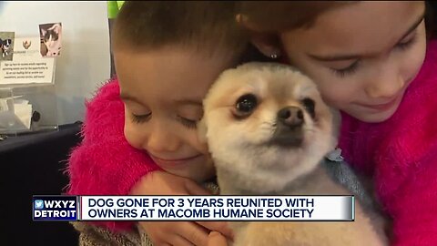 Dog gone for 3 years reunited with owners at Macomb Humane Society