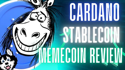 🟢🚀Stablecoin Memecoin Review💹🤪