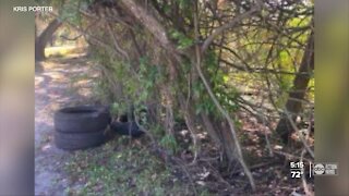 Endangered species rescued at Lake Parker sparks clean-up efforts