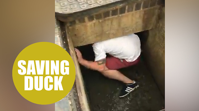 Video shows hero dad climbing into storm drain to save two stranded ...
