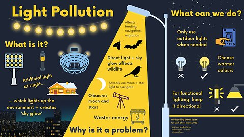 Night Light Pollution Linked to Alzheimers Risk - RevelHealth Care