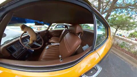 72 Buick GSX - Hooters and Hot Rods - Sanford, Florida #buick #carshow #insta360