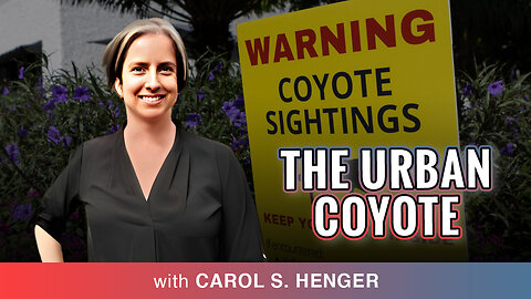 🐾 The Urban Coyote: Unraveling The Mysteries Of Wild City-Dwelling Canines 🐾