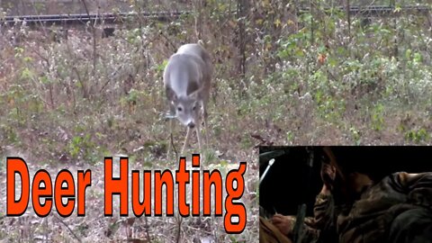 Deer Hunting