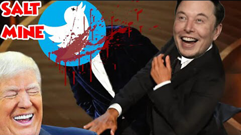 Twitter Employees Meltdown in Cry Closets After Elon Musk Buys Stock