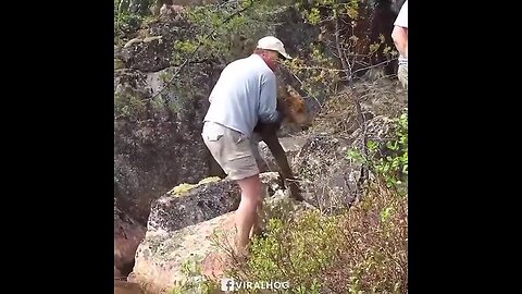 Heartwarming moment when people rescue a baby moose! ❤️