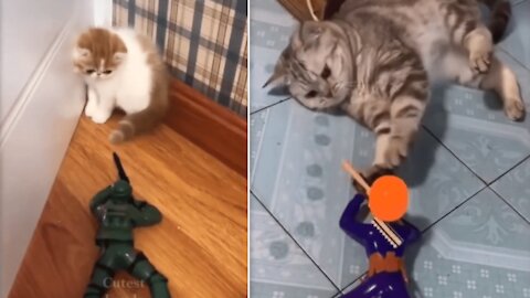 Lovely And Funny Animals - Have a Good Time With These Pets Compilation