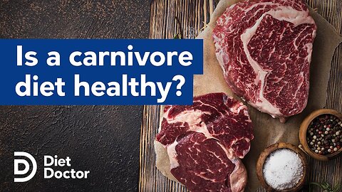 Is a carnivore diet healthy?