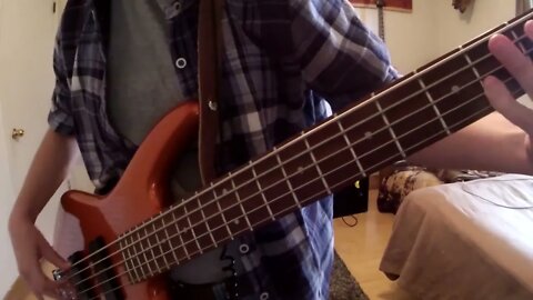 I got a new bass