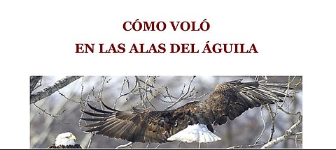 Cómo Voló en las Alas del Águila