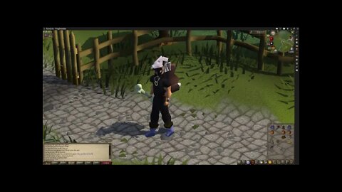 Old School RuneScape Questing at Its Finest 2x Speed