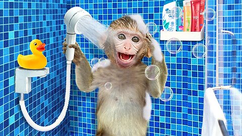 Baby Monkey Kiki take a shower in the bathroom and wash clothes | Monkey Baby Challenges