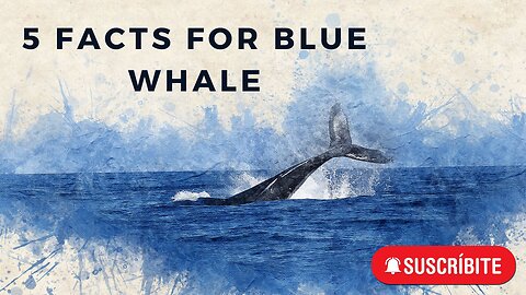 "Amazing Giant:Fascinating Facts About the Blue Whale, the Largest Animal in History"