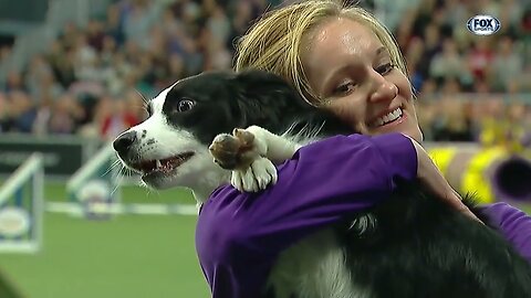 P!nk the border collie wins back-to-back titles at the 2019 WKC Masters Agility