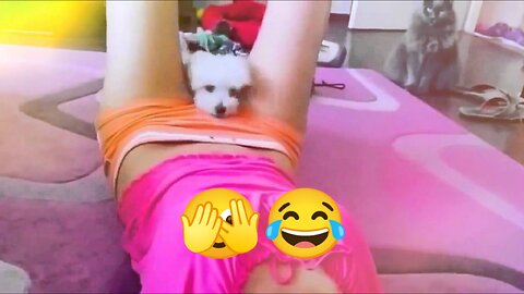 Funniest Cat And Dog Videos - Funny Animals video | Comedy 😁