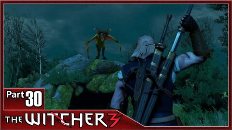 The Witcher 3, Part 30 / Mystery Byways Murders, Phantom of the Trade Route, Doors Slamming Shut