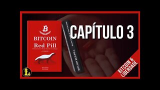 Livro Bitcoin Red Pill: Capítulo 3