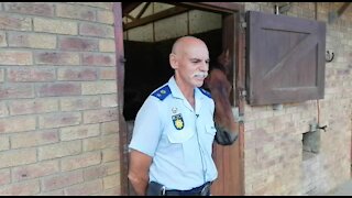 SOUTH AFRICA - Cape Town - SAPS Mounted Unit (Video) (oxv)