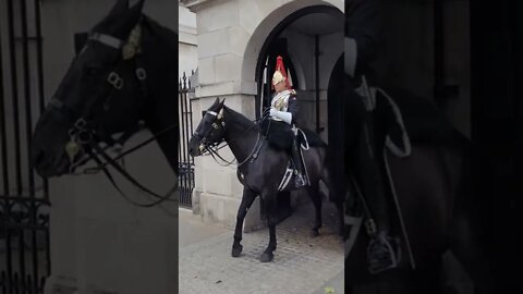 stand back from the Queen's life guard do not touch the reins #horseguardsparade