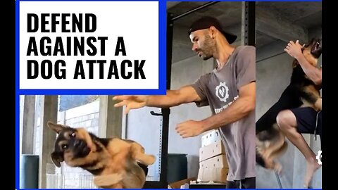 🐕How to Defend Against Dog Attack🐕 #dog #pet #attack #animal #trending, #trend, #viral, #viralvideo