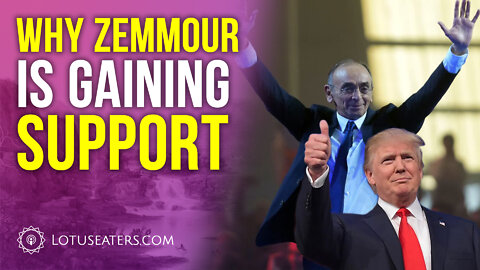 Trump Backs Zemmour For President