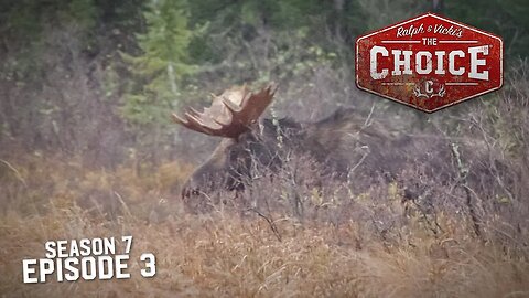 MOOSE MANIA IN ONTARIO - The Choice (Full Episode) // S7: Episode 3