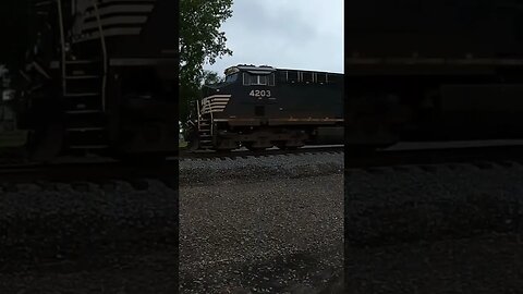 Norfolk Southern Hitting The Diamond On A Glumy Day, Train Horn #train #railfan #railway #asmr