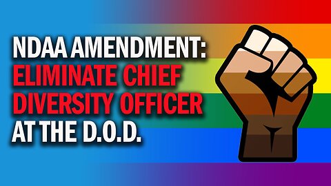 Gaetz Amendment: Eliminate Chief Diversity Officer at Department of Defense