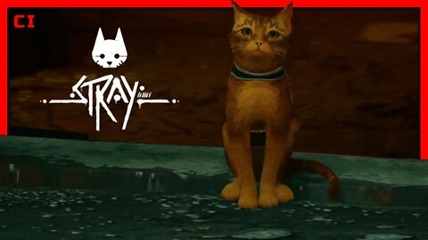 Stray - #1 Jogo Completo (Gameplay Sem Comentários) PT-BR Walkthrough