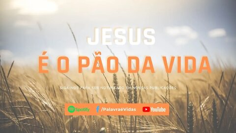 Palavra do Dia Hoje - Jesus é o Pão da Vida