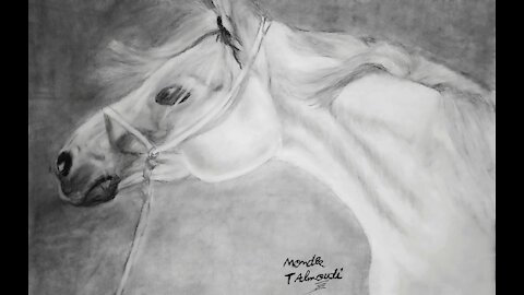 Drawing White Horse.