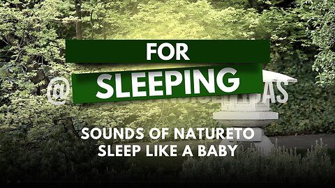 💤 Sleep Soundly: Best Sleep, Meditation, Nature Frequencies, Eliminate Insomnia, Deep Sleep, Relaxing Music, Relaxing Sounds, Stress Relief