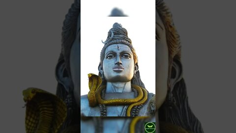 Om Namah Shivay | Lord Shiva | Boom Bestie #shorts #ytshorts