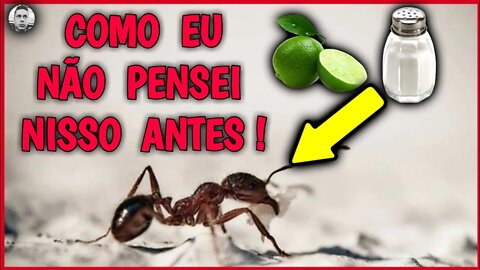 👉SUPER FÁCIL ! COMO Se LIVRAR Das FORMIGAS Dentro da Sua CASA. #youtube #dicas