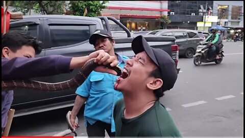 Dangerous Giant King Cobra Eating of Jakarta | Indonesian Street Food | Biggest King Cobra