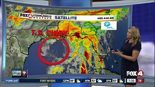 Tropical Storm Cindy heads towards northern Gulf coast