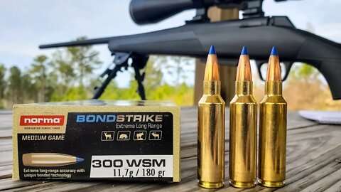 300WSM at 1,000 yards!!! - Norma BondStrike