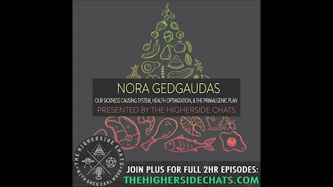 Nora Gedgaudas | Our Sickness Causing System, Health Optimization, & The Primalgenic Plan