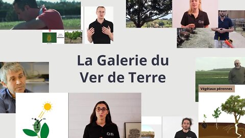 La Galerie du Ver de Terre - La plateforme de formation en ligne