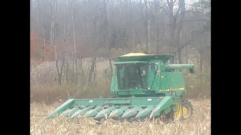 The start of corn 2019