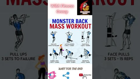 🔥Monster back mass workout🔥#shorts🔥#wildfitnessgroup🔥8 July 2022🔥