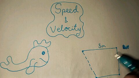 Speed & Velocity