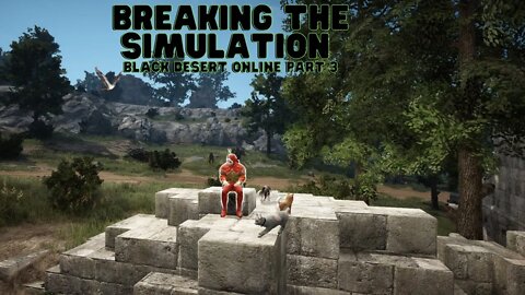 Black Desert online Part 3 | Breaking the Simulation