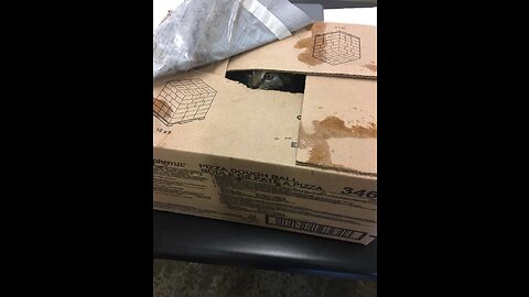 Three boxes wrapped with duct tape were found in the backyard of the shelter