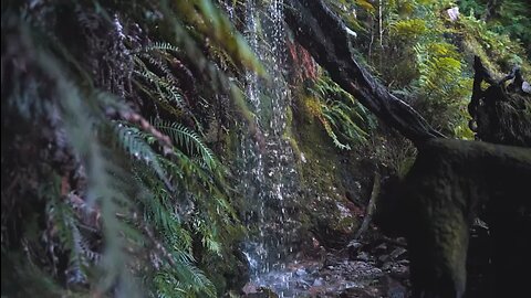 Waterfall # relax # nature