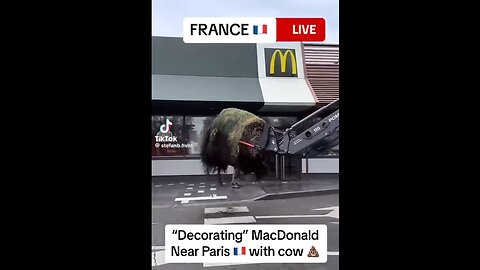 French farmers paint the town ... with cow shite