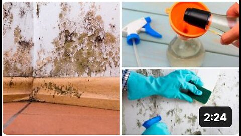 How To Get Rid of Black Mold Naturally