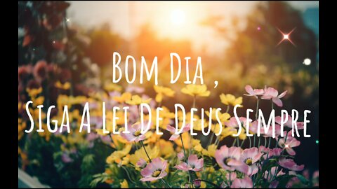 Bom Dia, Siga A Lei De Deus Sempre